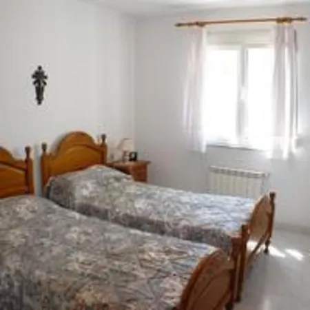 Holiday Begonia Tatil Evi