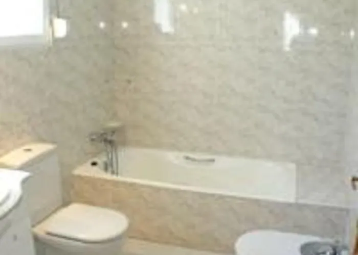 Holiday Begonia Denia