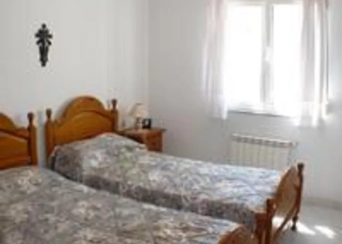 Holiday Begonia Tatil Evi